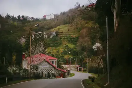 Bugarski autoputevi i putarine